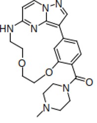 CK156 negative control structure