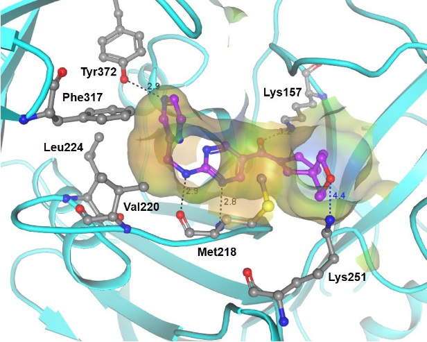 Vanin-1 chemical probe crystal structure