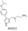 MS023 structure